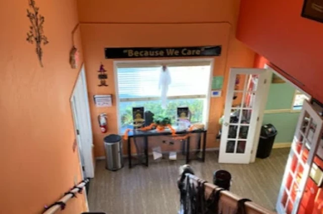 Royal Life Centers at Bridges