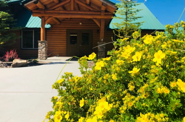 Behavioral Health - Turning Winds