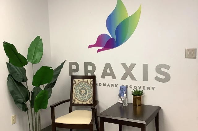 Praxis By Landmark Recovery