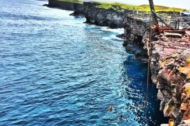 Honu House Hawaii