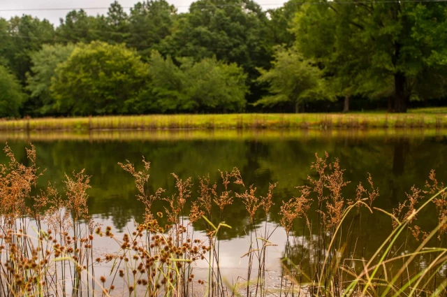 Defining Wellness Centers