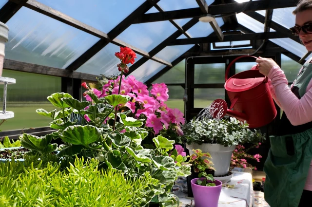 Defining Wellness Centers