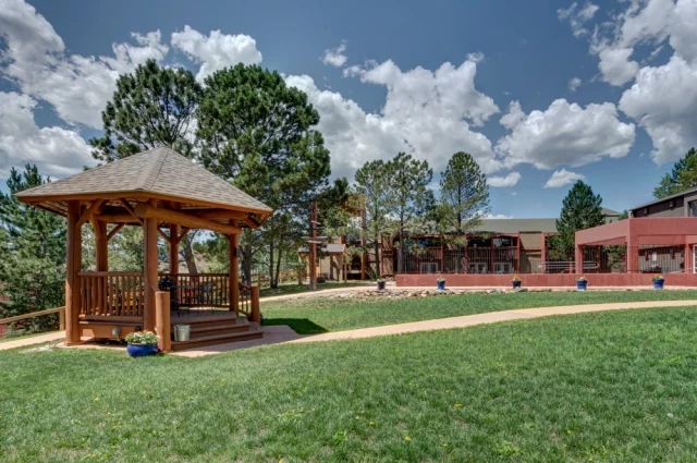 Mountain Springs Recovery