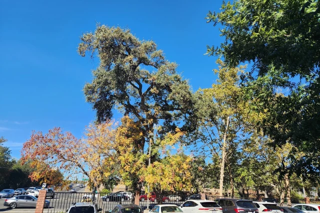 Heritage Oaks Hospital