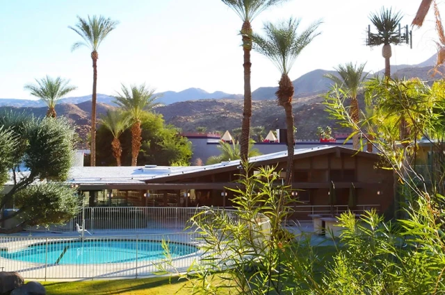 Banyan Palm Springs