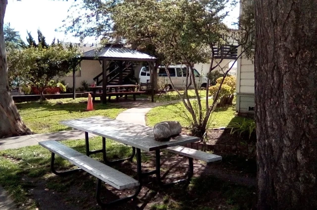 Santa Cruz Residential Recovery