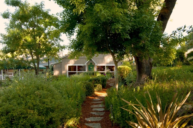 Mountain Vista Farm