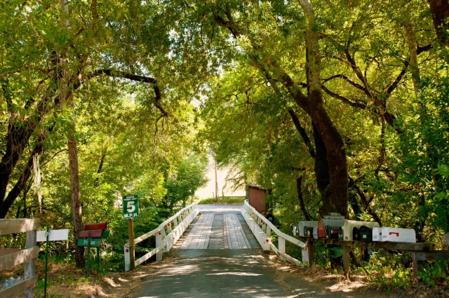 Mountain Vista Farm