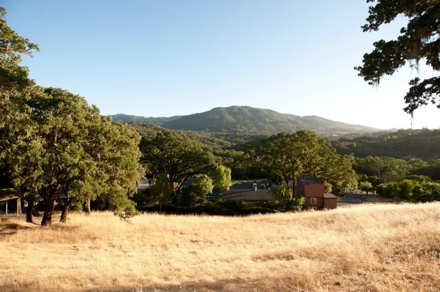 Mountain Vista Farm