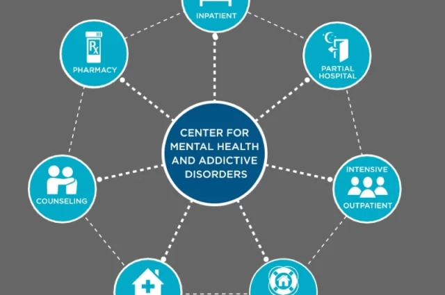 Alvarado Parkway Institute Behavioral Health System Outpatient Services