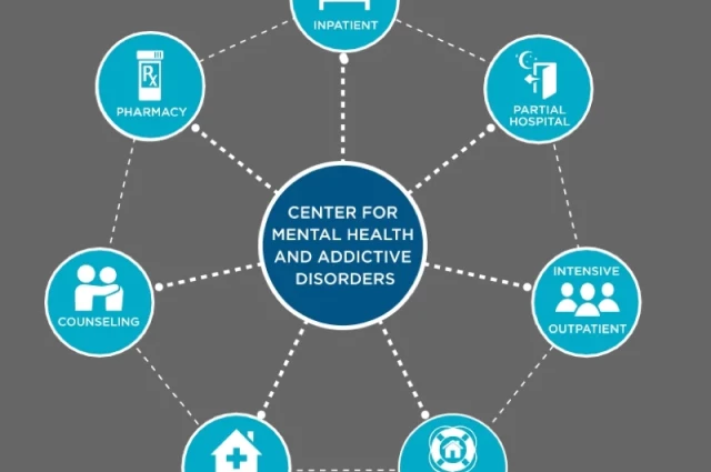 Alvarado Parkway Institute Behavioral Health System Outpatient Services