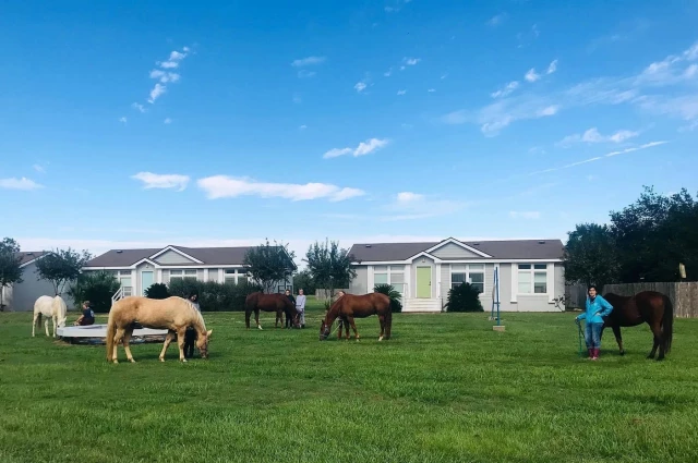 Fulshear Treatment to Transition - The Ranch
