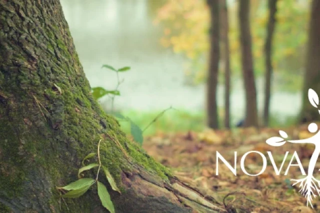 Nova Vitae Treatment Center