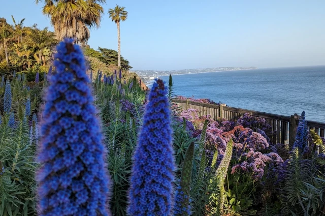 Avalon by the Sea