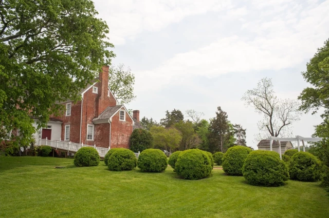 Williamsville Wellness