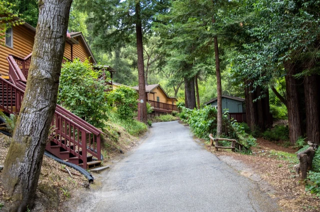 The Camp Recovery Center