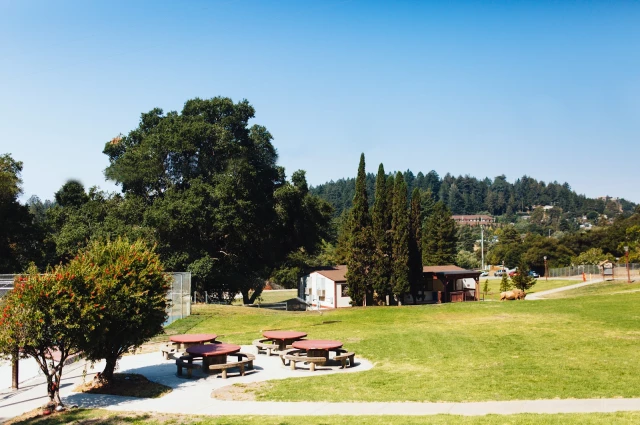 The Camp Recovery Center