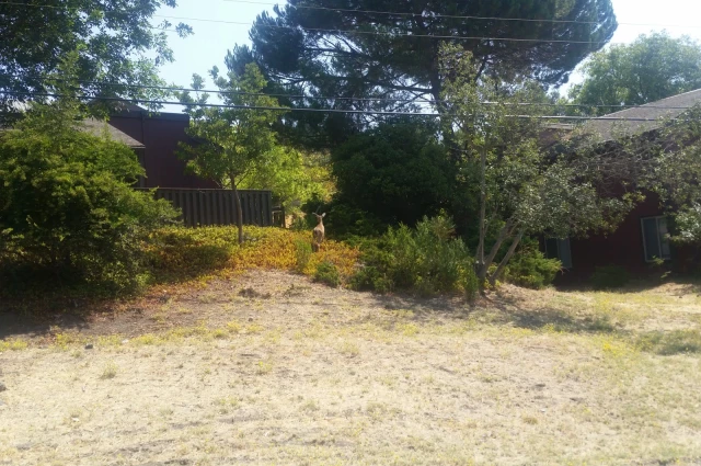 Pathway Society - Mariposa Lodge