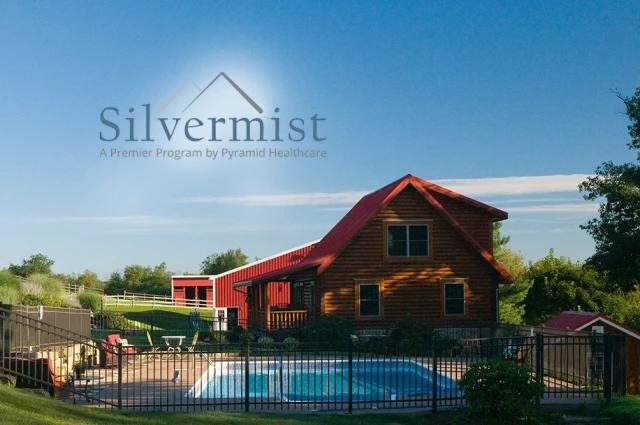 Silvermist