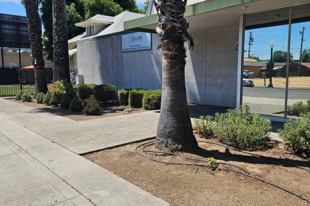 BAART Programs - Van Ness