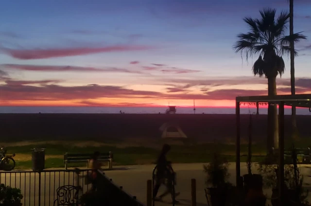 Phoenix House - Venice Beach Residential and Outpatient Services