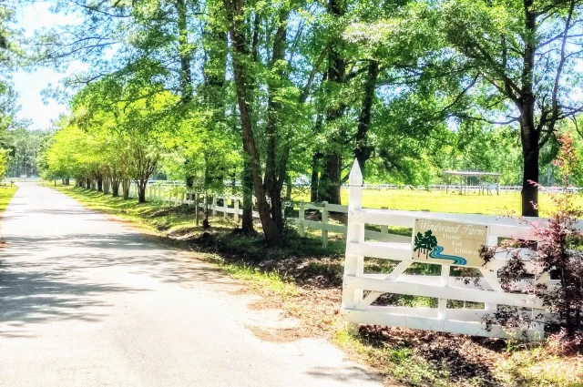 Windwood Farm Home for Children