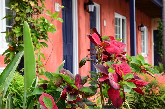 Cottage Residential Center