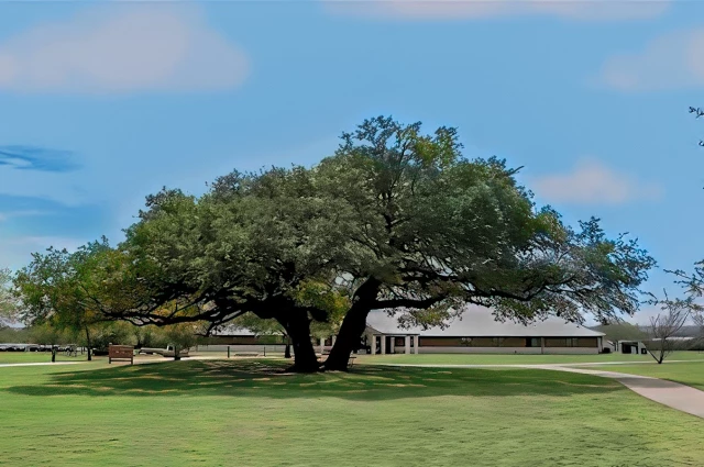 Meridell Achievement Center