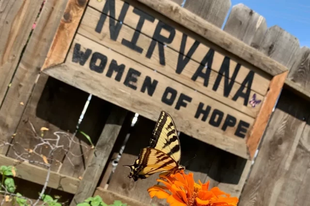 Nirvana Drug and Alcohol Institute - Women of Hope