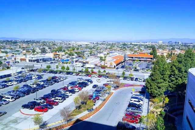 Harbor UCLA Medical Center