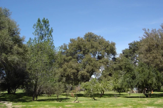 San Diego Freedom Ranch