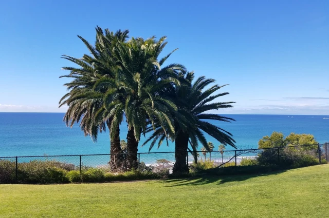 Monarch Shores