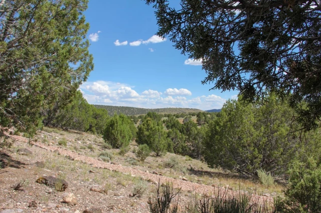 RedCliff Ascent