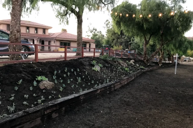 Rancho Milagro Recovery