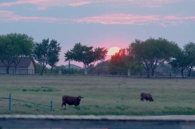 New Hope Ranch