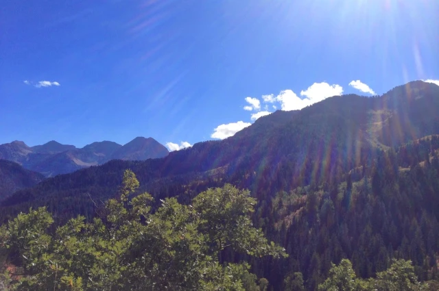 Alpine Recovery Lodge