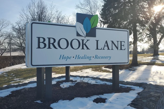 Brook Lane Health Services
