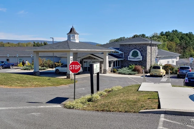 Brook Lane Health Services