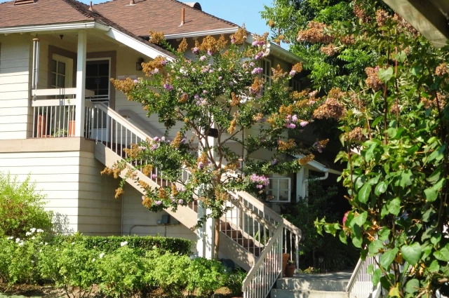 Casa Treatment Center