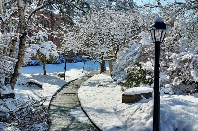 Conifer Park
