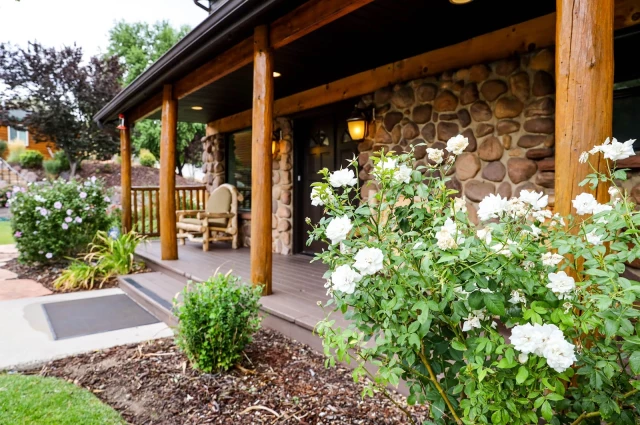 Deer Hollow Recovery