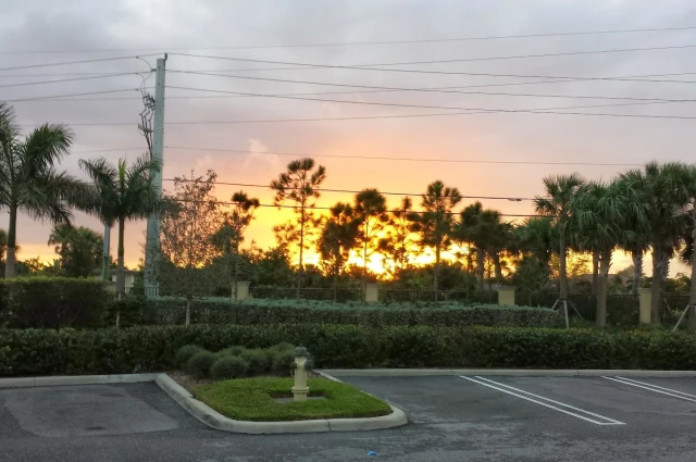 Futures of Palm Beach