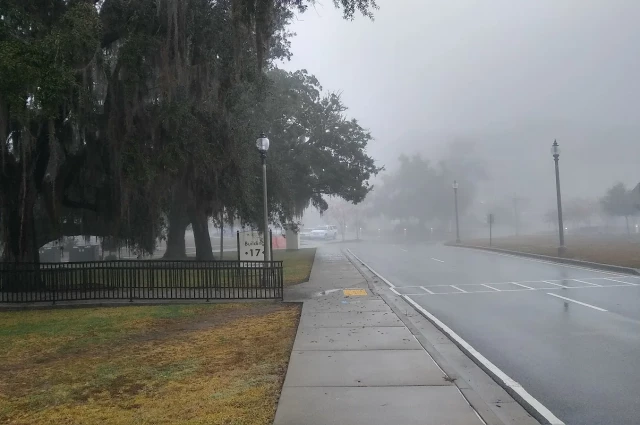 Gulf Coast VAMC - Behavioral Health Services (116)
