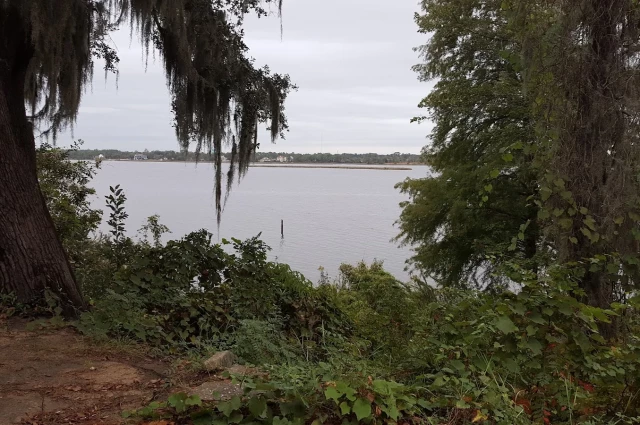 Gulf Coast VAMC - Behavioral Health Services (116)