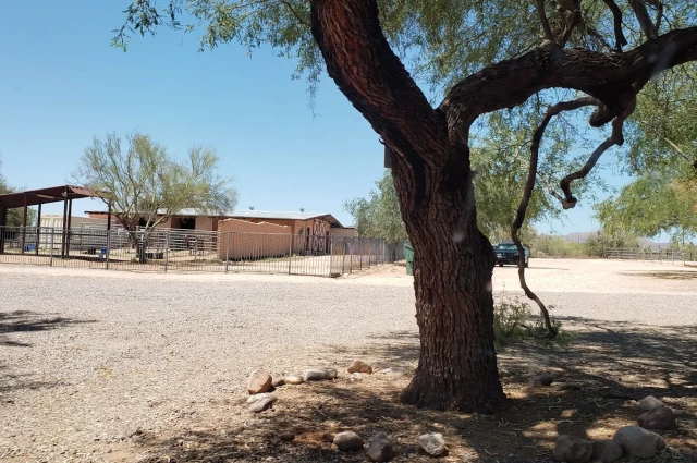 La Frontera Center - Mountain Rose