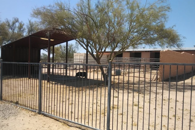 La Frontera Center - Mountain Rose