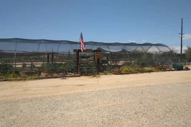 La Frontera Center - Mountain Rose