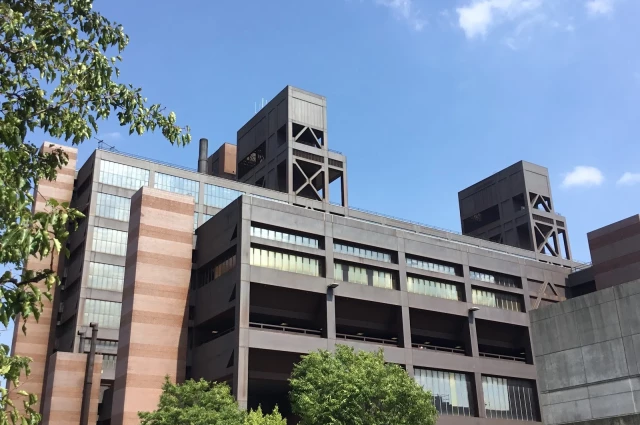 Woodhull Medical Center - Division of Chemical Dependency