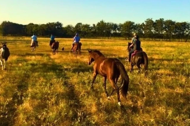Resolution Ranch Academy