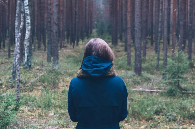 Rimrock Trails Treatment Services